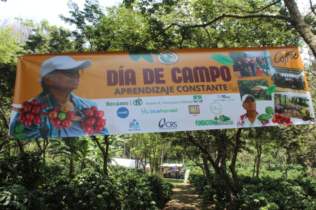 dia de campo COCREBISTOL